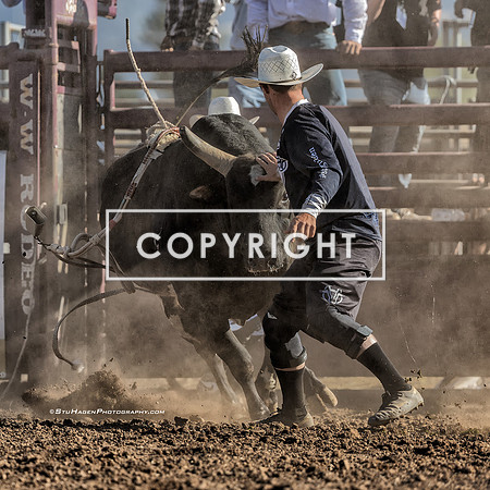 5 - Warren Enz  - 2025 Old Santa Ynez Days Rodeo