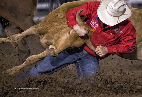 Nick Guy, PRCA Steer Wrestler
