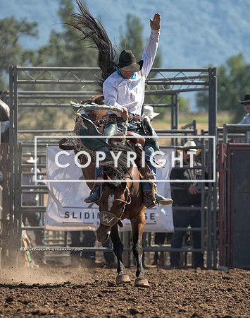 4 - Noel Johnson - 2024 Old Santa Ynez Days Rodeo