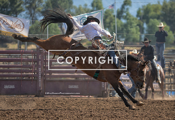 6 - Noel Johnson - 2024 Old Santa Ynez Days Rodeo