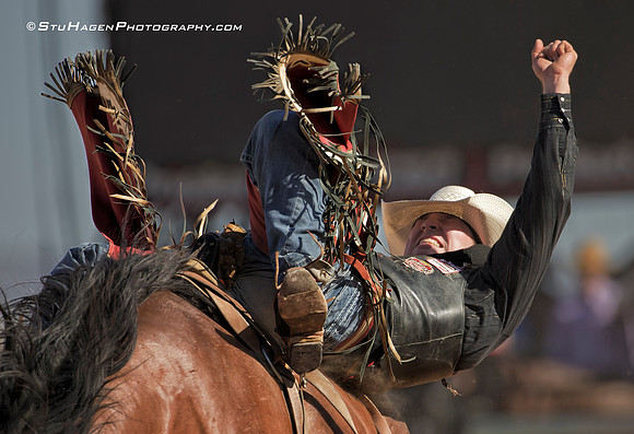 Blade Elliot On Pa Te On of Diamond G Rodeo