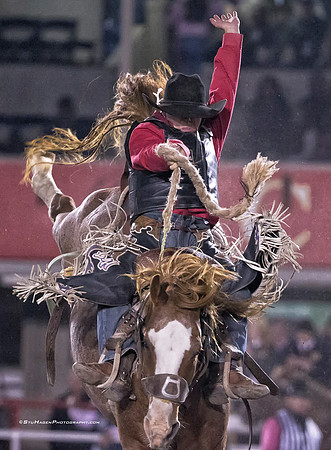 Logan Hay, PRCASaddle Bronc Rider