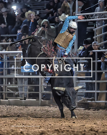 14 - Wyatt Covington - 2025 Brawley Cattle Call Rodeo