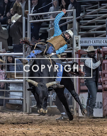 4 - Wyatt Covington - 2025 Brawley Cattle Call Rodeo