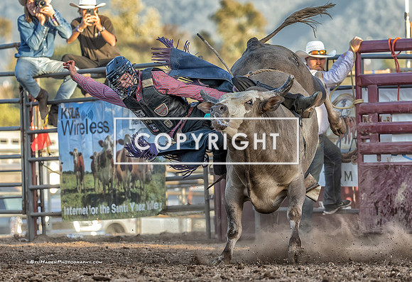 2 - Colby Strickland - 2025 Old Santa Ynez Days Rodeo