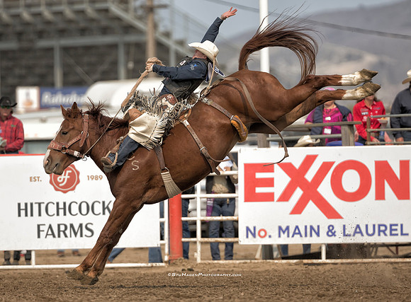 Chase Brooks, PRCA Saddle Bronc Rider