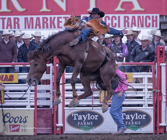 Kaycee Feild, PRCA Bareback Rider