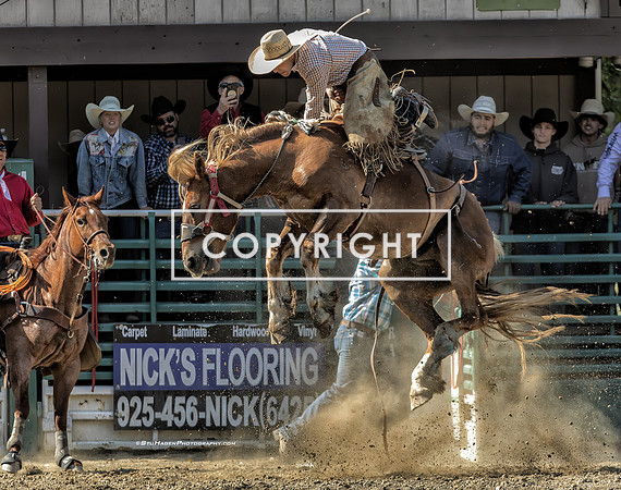 2 - Lane John - 2025 Rowell Ranch Rodeo