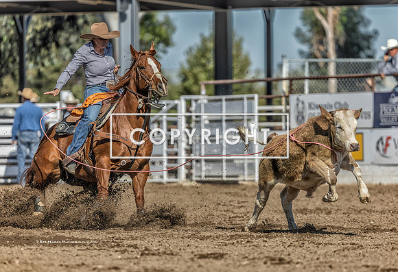4 - Suzanne Williams - 2024 Clovis Rodeo Round One