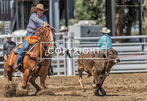 1 - Suzanne Williams - 2024 Clovis Rodeo Round Two