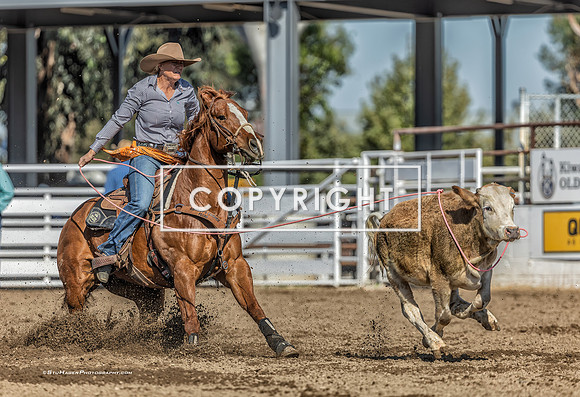 3 - Suzanne Williams - 2024 Clovis Rodeo Round One