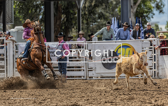 1 - Suzanne Williams - 2024 Clovis Rodeo Finals