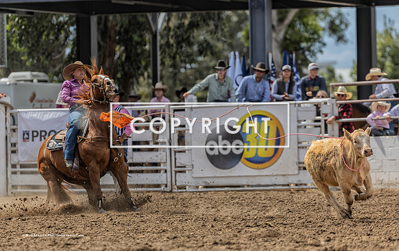 3 - Suzanne Williams - 2024 Clovis Rodeo Finals