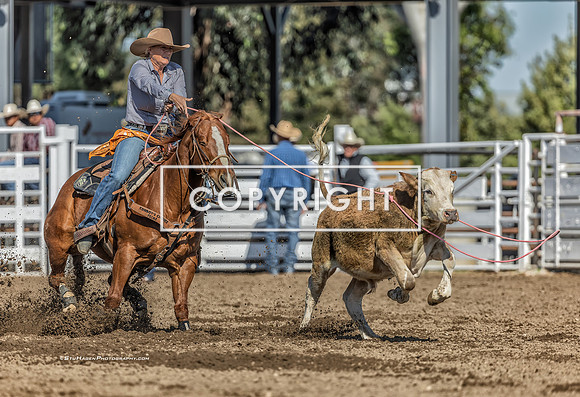 2 - Suzanne Williams - 2024 Clovis Rodeo Round One