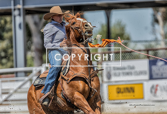 2 - Suzanne Williams - 2024 Clovis Rodeo Round Two