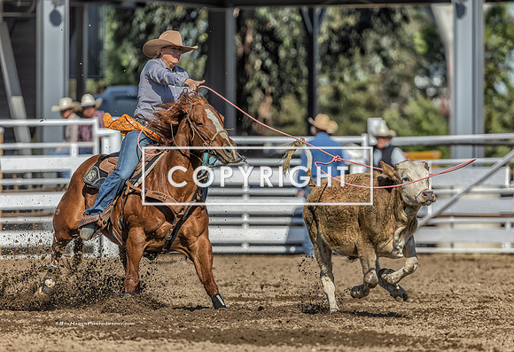 1 - Suzanne Williams - 2024 Clovis Rodeo Round One