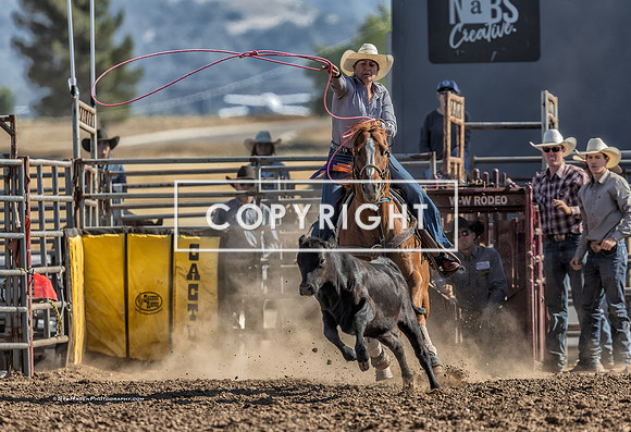 1 - Suzanne Williams - 2025 Old Santa Ynez Days Rodeo