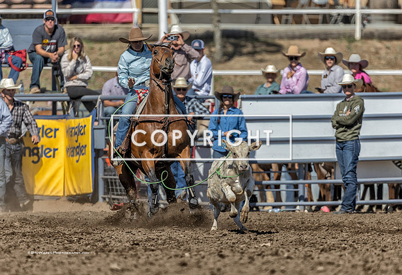 4 - Suzanne Williams - 2025 Santa Maria Elks Rodeo