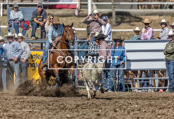 1 - Suzanne Williams - 2025 Santa Maria Elks Rodeo
