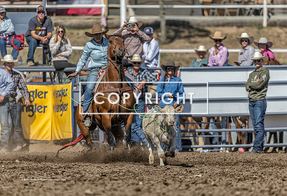 3 - Suzanne Williams - 2025 Santa Maria Elks Rodeo