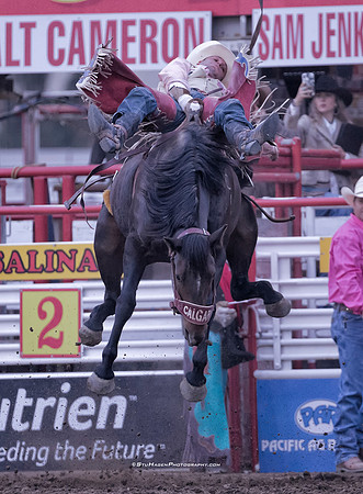 PRCA Bareback Rider