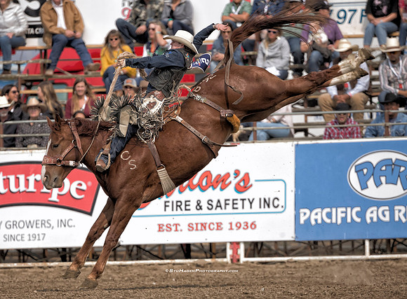 Chase Brooks, PRCA Saddle Bronc Rider