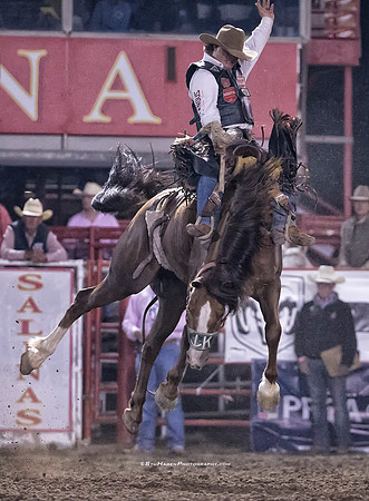 Wyatt Caster, PRCA Saddle Bronc Rider