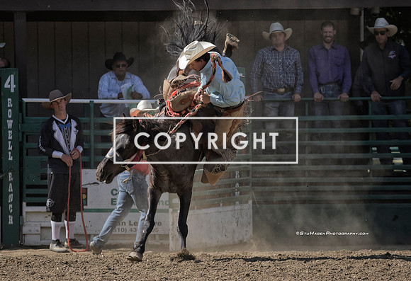 2 - Josiah White - 2024 Rowell Ranch Rodeo - Friday Perf