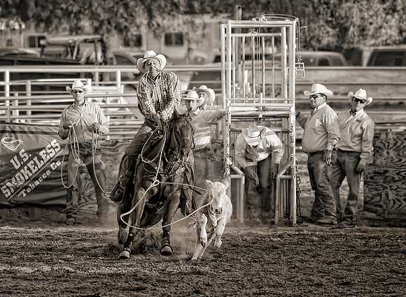 That Cowboy Gets No Tine