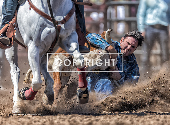 5 - Matt Deskovick - 2026 Old Santa Ynez Days Rodeo