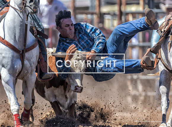 3 - Matt Deskovick - 2026 Old Santa Ynez Days Rodeo