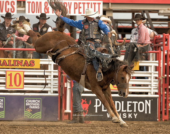 Stetson Wright, PRCA Saddle Bronc Rider