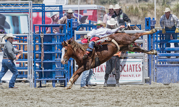 Kaycee Field