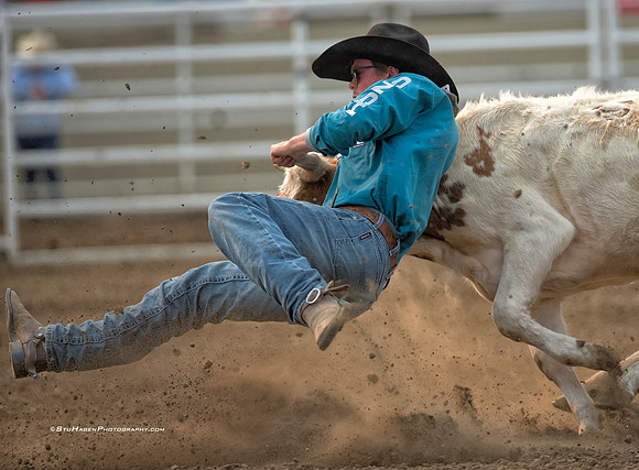Tucker Allen, PRCA Steer Wrestler