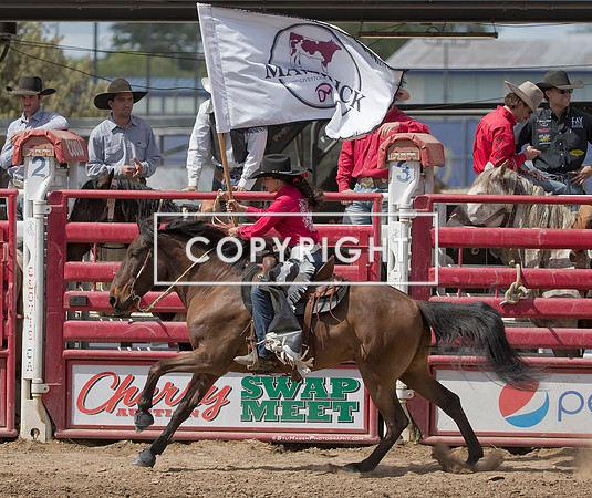 5 - Ellie - 2024 Clovis Rodeo Saturday Perf Maverick Flag