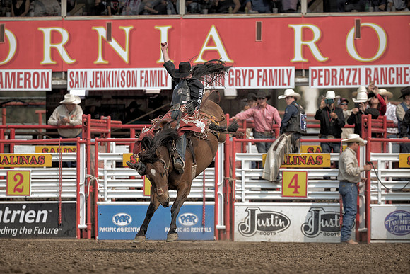 Layton Green, PRCA Saddle Bronc Rider