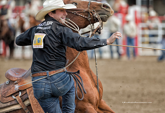 Ty Harris, PRCA Tie Down Roper