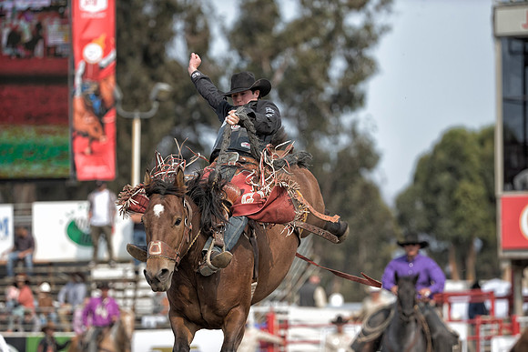 Layton Green, PRCA Saddle Bronc Rider