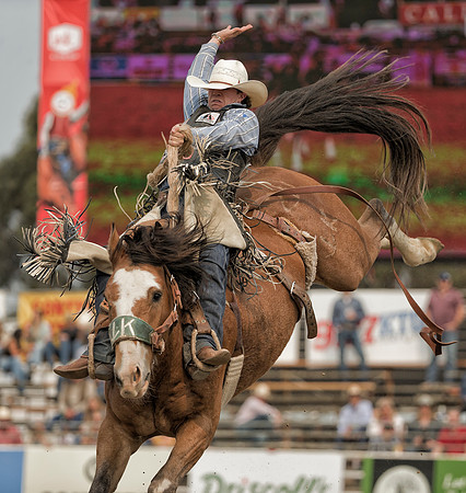 Chase Brooks, PRCA Saddle Bronc Rider