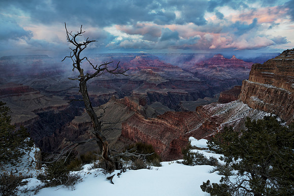 Snow Storms On The North Rim