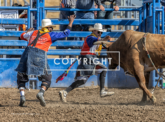 1 - Abraham Ansolabehere & Ray Ray Taylor - 2025 Santa Maria Elks Rodeo