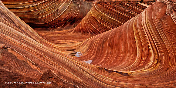 The Wave