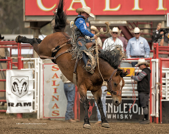 Ryder Wright, PRCA Saddle Bronc Rider