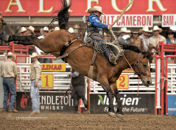 Ryder Wright, PRCA Saddle Bronc Rider