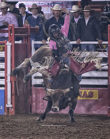 Trey Bennett III, PRCA Bull Rider