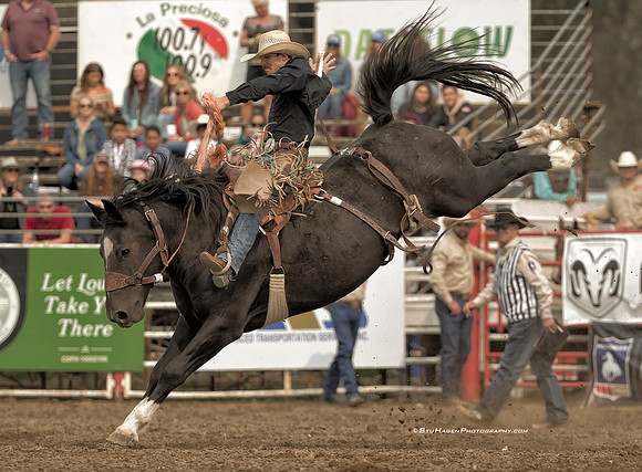 Logan Cook, PRCA Saddle Bronc Rider