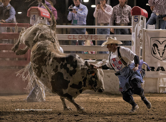 Tim O'Connor PRCA Bullfighter