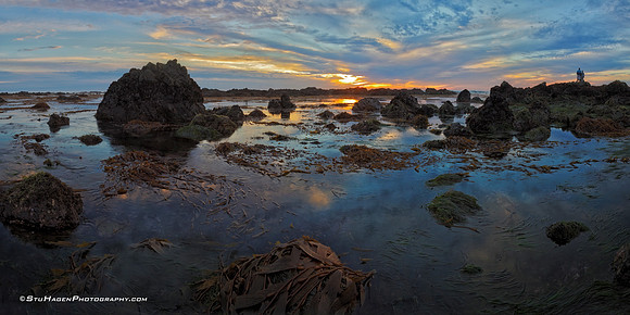 Low Tide