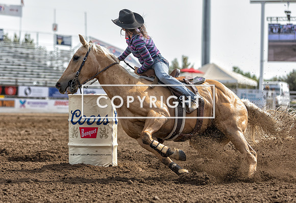 6 - Hayle Gibson-Stillwell - 2025 Clovis Rodeo Round One