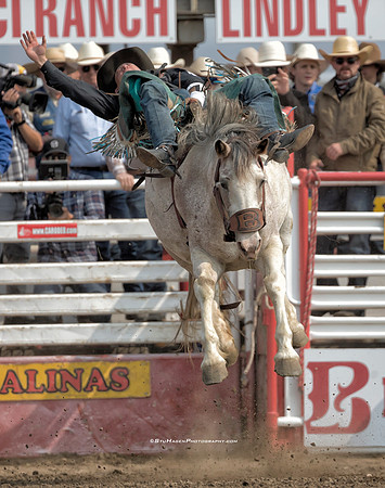Tanner Aus, PRCA Bareback Rider